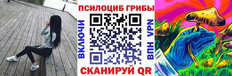 Галлюциногенные грибы мухоморы цена наркотик Заречный