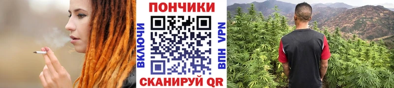 Шишки марихуана OG Kush Заречный